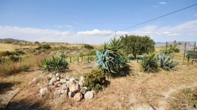 Rustic finca at Calle de Leiva, No. 118 photo 72