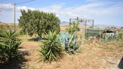 Rustic finca at Calle de Leiva, No. 118 photo 73