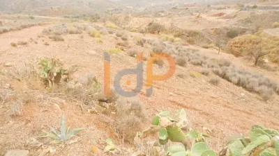 House on Diputación de Abejuela photo 9