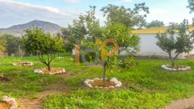 House in Huércal-Overa photo 5