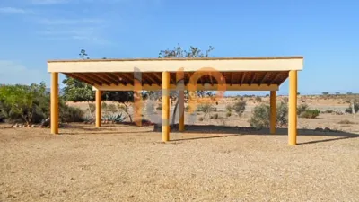 House in Las Norias photo 36