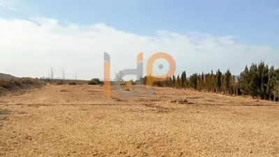 House in Las Norias photo 37