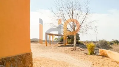 House in Las Norias photo 39