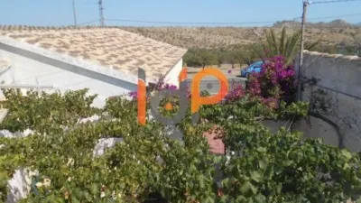 House in Santa Maria de Nieva photo 21