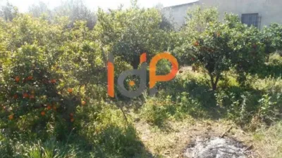 House in Zurgena photo 27
