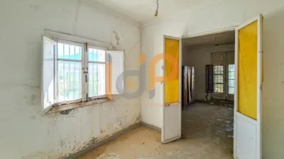 House in Las Norias photo 10