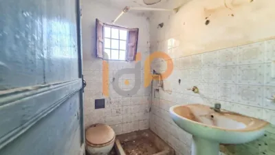 House in Las Norias photo 16