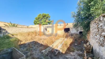 House in Las Norias photo 18