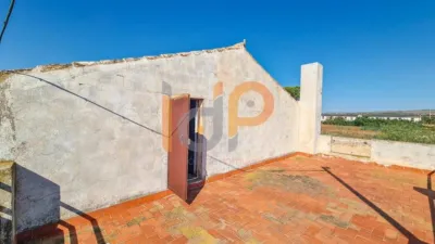 House in Las Norias photo 26