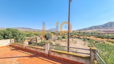 House in Las Norias photo 27