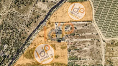 House in Las Norias photo 28