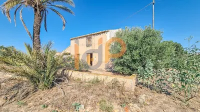 House in Las Norias photo 29