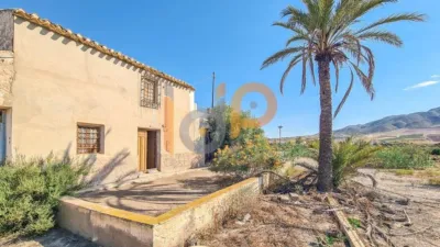 House in Las Norias photo 2