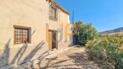 House in Las Norias photo 30