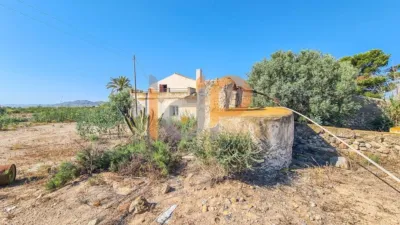 House in Las Norias photo 32