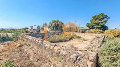 House in Las Norias photo 33