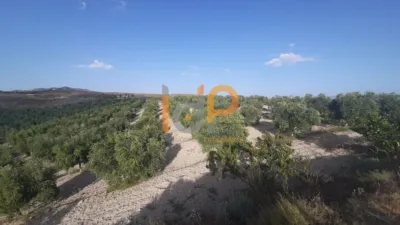 House in Sorbas photo 14