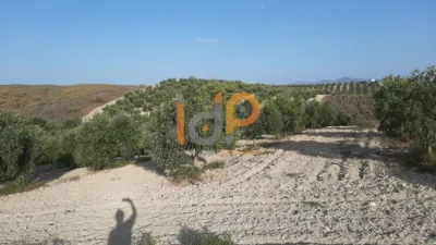 House in Sorbas photo 15