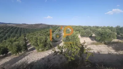 House in Sorbas photo 17