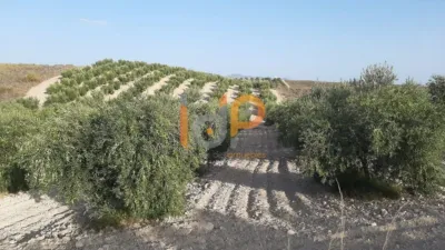 House in Sorbas photo 2