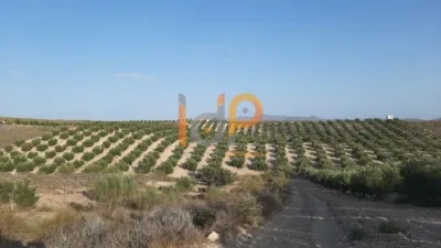 House in Sorbas photo 4