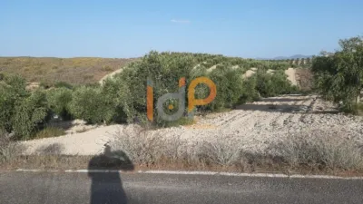 House in Sorbas photo 6