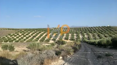 House in Sorbas photo 7