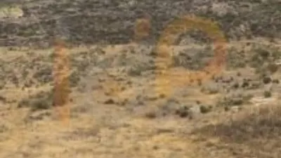 House in El Palaces photo 9