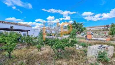 House in Urcal photo 8