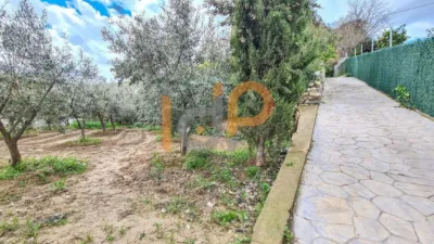 House in Macael photo 2
