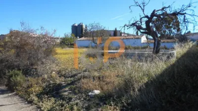 House in Santa Maria de Nieva photo 5