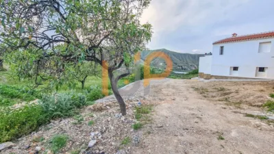 House in Arboleas photo 21