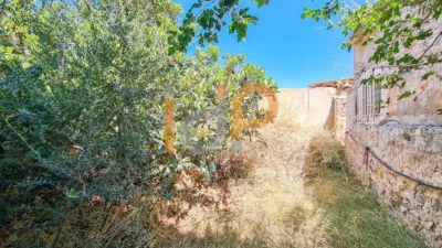 House in La Alfoquia photo 10