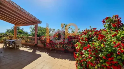 House in Urcal photo 19