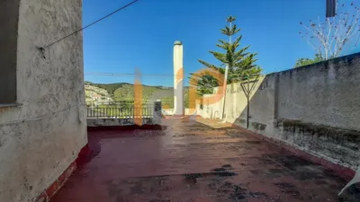 House in Lucar photo 21
