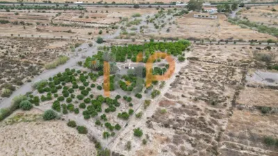 House in Huércal-Overa photo 15