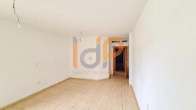 Apartment in La Alfoquia photo 5