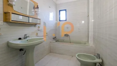 House in El Pilar photo 15