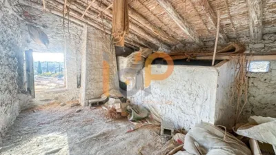 Country House photo 13