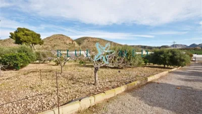 Rustic Finca in Camino de las Balsicas photo 10