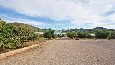 Rustic Finca in Camino de las Balsicas photo 11