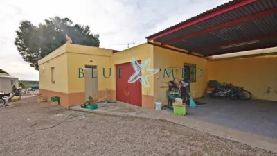 Rustic Finca in Camino de las Balsicas photo 12