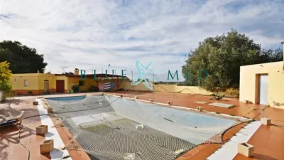 Rustic Finca in Camino de las Balsicas photo 2