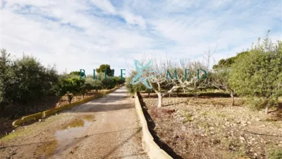 Rustic Finca in Camino de las Balsicas photo 4