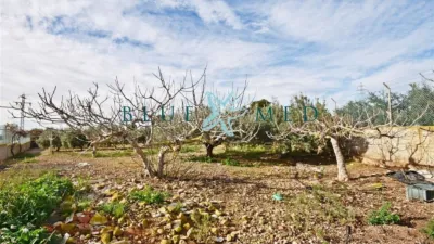 Rustic Finca in Camino de las Balsicas photo 6