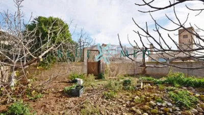Rustic Finca in Camino de las Balsicas photo 7