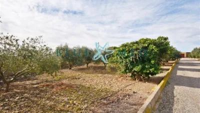 Rustic Finca in Camino de las Balsicas photo 8