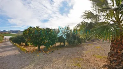 Rustic Finca in Camino de las Balsicas photo 9