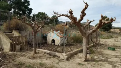 Finca rústica en calle Rm701 photo 11