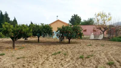Finca rústica en calle Rm701 photo 2